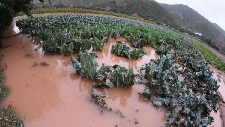 Senamhi emite alerta naranja por intensas lluvias en Tarija y seis departamentos