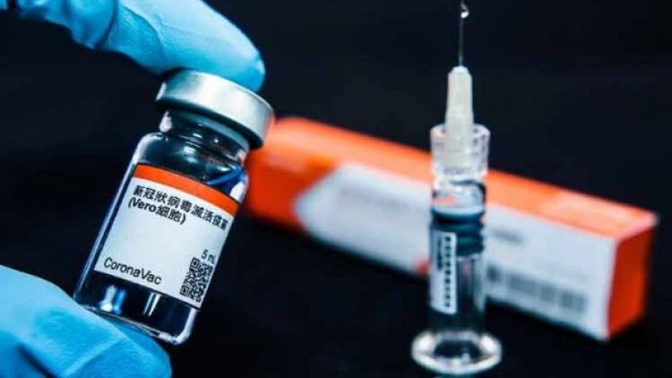 4 gobernaciones y 7 empresas negocian la compra de la vacuna Sinovac