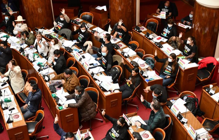En medio de incidentes, el MAS en Diputados aprueba resolución de rechazo a ‘injerencia’ de Almagro