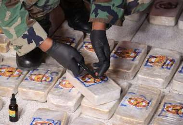Felcn incauta 204 kilos de pasta base de cocaína producida en el área natural de San Matías