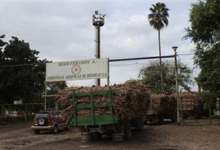 YPFB admite que “demanda de energía no puede ser cubierta” en Bermejo y promete dotar diésel para que la zafra no inicie con leña