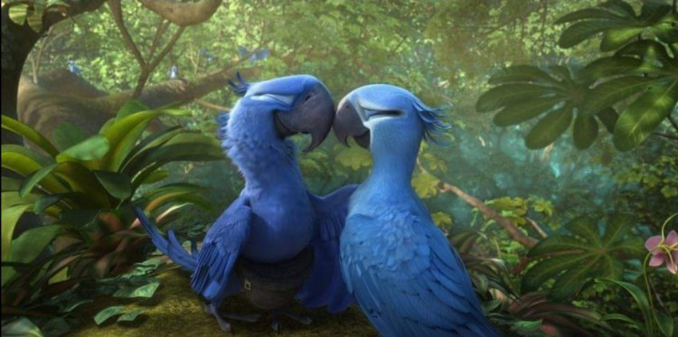 Nace un Guacamayo azul que salva a su especie oficialmente declarada extinta