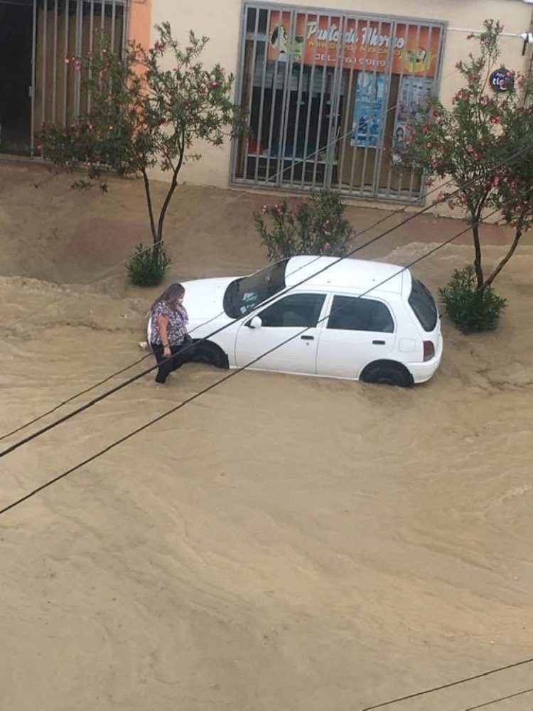 En Tarija intensa lluvia provoca caída de árboles e inundaciones