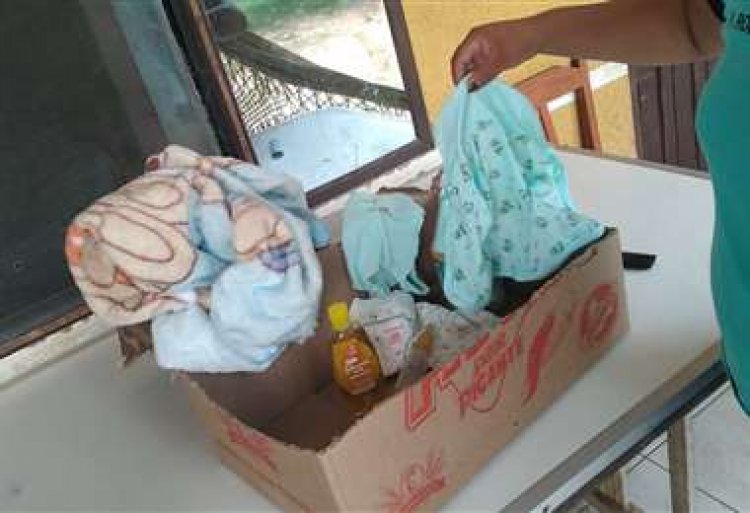 Mujer encuentra a un bebé abandonado en una caja de cartón fuera de su casa