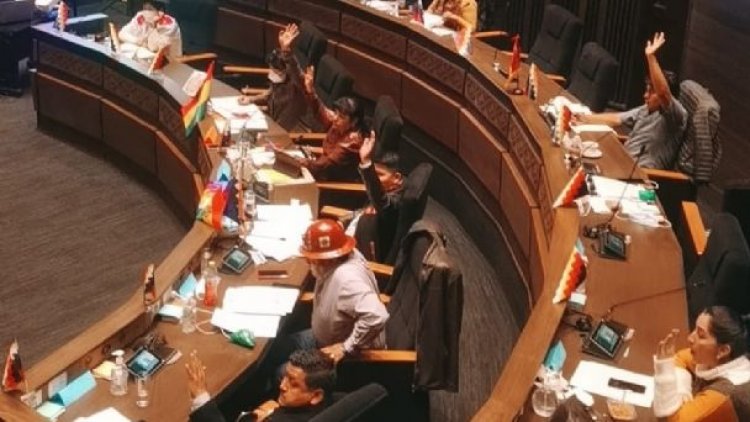 Senado aprueba licencia sin salario para el senador del MAS sindicado de violación