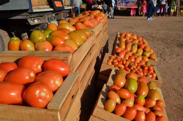 1ra Feria del Tomate y Productos Agrícolas de la comunidad de El Tambo en Entre Ríos