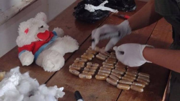 Usan un oso de peluche para traficar droga de Bolivia a Argentina