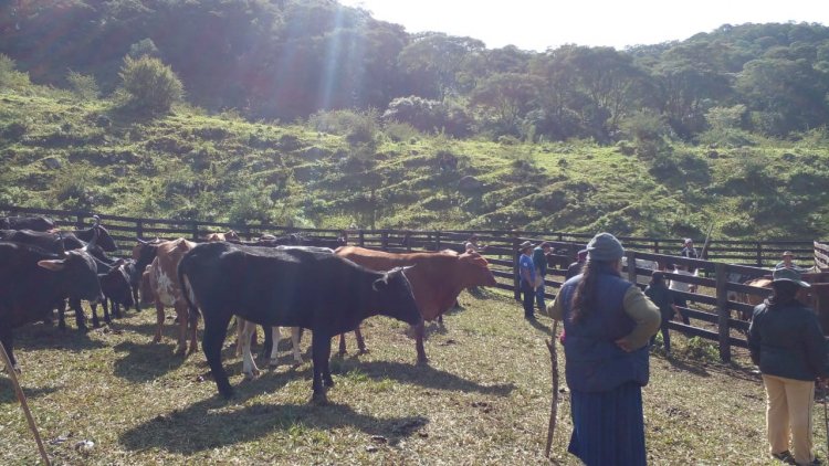 32 Familias Guaraníes vivían semiesclavizadas en una comunidad de Huacareta – Chuquisaca