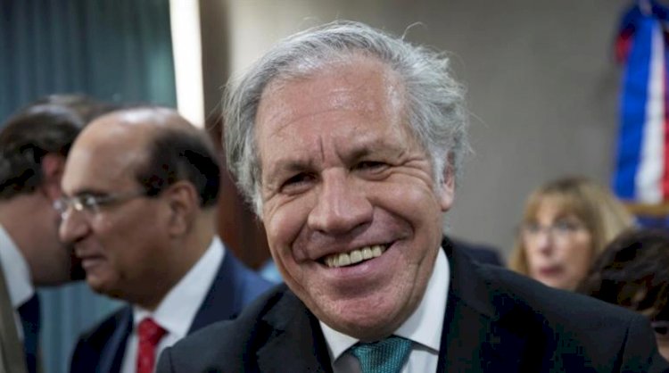 Almagro es reelecto y seguirá en la OEA cinco años más