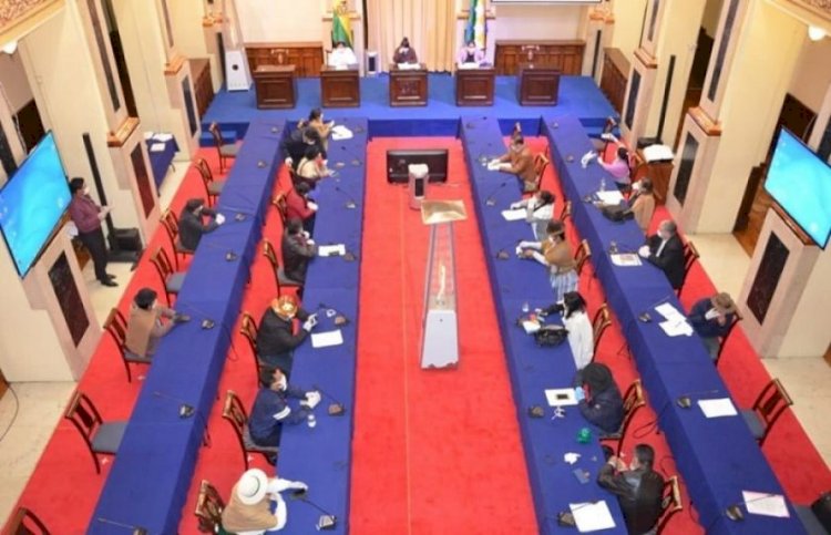 Senado aprueba en grande proyecto de ley para postergar elecciones nacionales