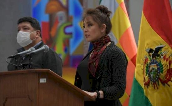 Añez remueve a Navajas y designa a Eydi Roca como ministra interina de Salud