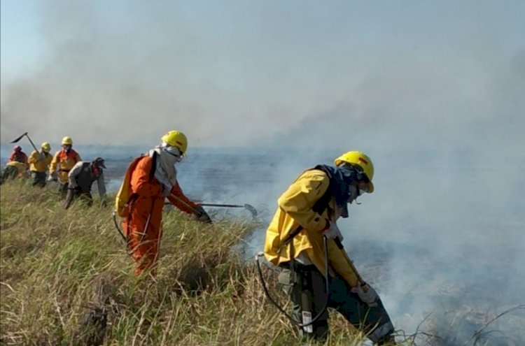 El fuego devora 91.342 hectáreas en el parque nacional Otuquis