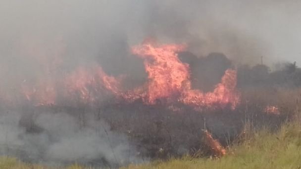 Santa Cruz anuncia riesgo alto y extremo de sufrir incendios forestales